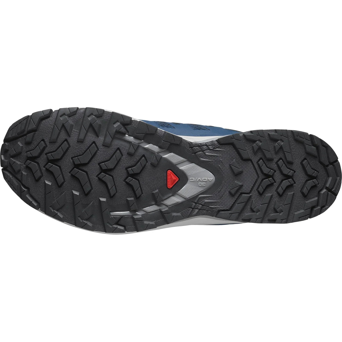 Salomon Xa Pro 3d V9